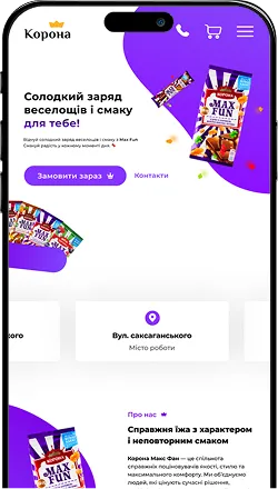 web design case 13 preview